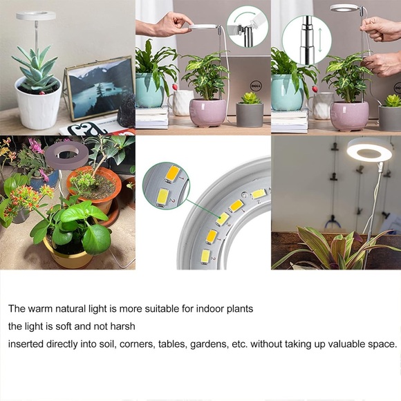 LED Plant Grow Light with Adjustable Gooseneck - Picture 1 of 5
